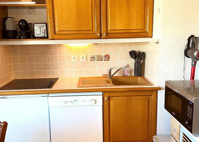 4 Pers. Calme Proche Pistes Avec Garage Prive - Fr-1-516-171 Apartment Les Deux Alpes